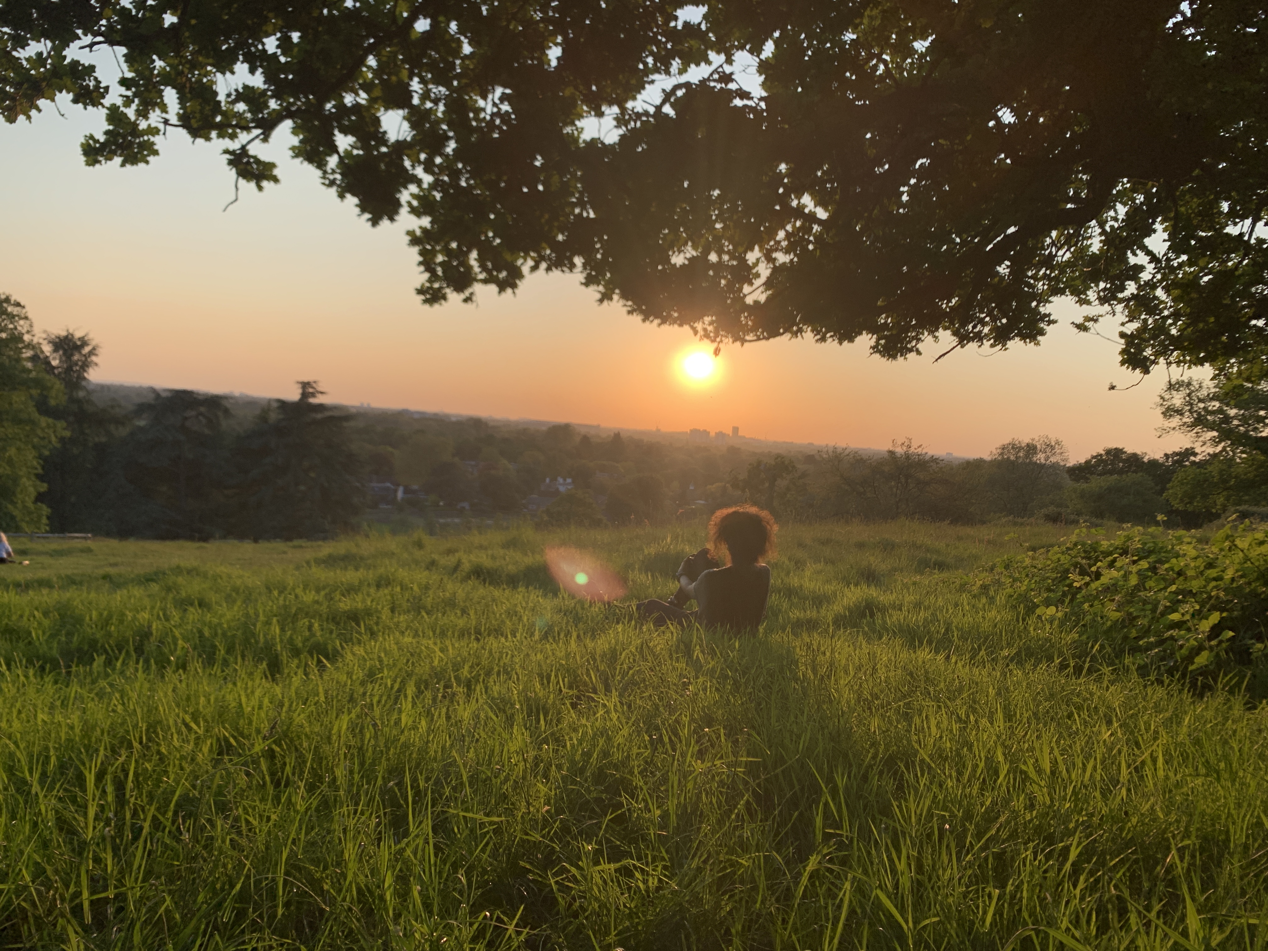 Watching the sunset